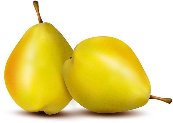 EPS 해외이미지 식물 음식 줄기 백그라운드 잎 2 다이어트 과일 일러스트 자연 디저트 건강 빨간색 초록색 노란색 흰색 신선 달콤 오브젝트 유기농 날것 망고 내추럴 고립 숙성 채식주의자 해외202004 해외일러스트 웰빙 컬러 맛 열대과일 생태계 채식 파일형식 벡터 이미지허브