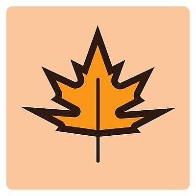 EPS 해외이미지 선 단풍 잎 일러스트 만화 심플 얇은 해외202004 해외일러스트 식물 파일형식 벡터 이미지허브