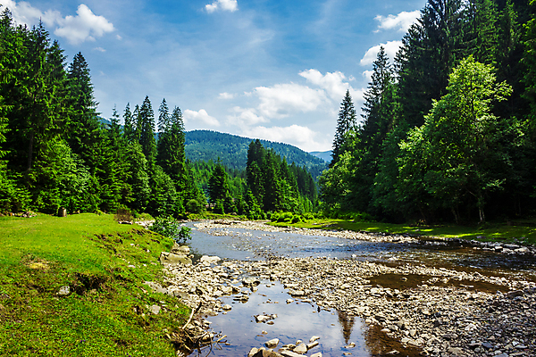 포토 JPG 해외이미지 나무 구름 계절 공원 백그라운드 자연 하늘 산 풍경 사람없음 야외 목재 초록색 물 여름 파란색 강 평화 환경 계곡 맑음 침묵 봄 흐름 바위 개울 숲 언덕 장면 침엽수 전나무 내추럴 산악지대 삼림지대 생태학 해외202004 해외포토 자연요소 식물 공공시설 교육 컬러 컨셉 재료 날씨 소리 돌_바위 생태계 파일형식 이미지허브