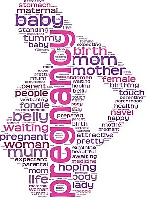 EPS 해외이미지 모양 구름 여자 실루엣 어린이 분홍색 컨셉 일러스트 가족 엄마 새로움 건강 관리 사랑 단어 꼬리표 희망 임산부 임신 만지기 하트 아기 출산 기다림 돌봄 해외202004 해외일러스트 자연요소 문자 감정 컬러 관계 모션 촬영기법 사람 라벨 파일형식 벡터 이미지허브