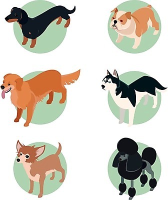 EPS 해외이미지 동물 캐릭터 디자인 행복 백그라운드 일러스트 포유류 자연 그래픽 반려동물 세트 컬러풀 흰색 양치기 개 리트리버 강아지 만화 닥스훈트 테리어 수집 심볼 푸들 불독 송곳니 고립 기르기 마스코트 유래 해외202004 해외일러스트 일러캐릭터 직업 감정 컬러 치아 생태계 돌봄 파일형식 벡터 이미지허브
