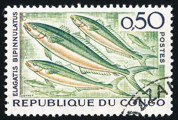 포토 JPG 해외이미지 동물 야생동물 바다 자연 봉투 동물원 어류 사람없음 그래픽 수중 수확 골동품 메시지 역사 물개 편지 복고 엽서 우표 동물상 옛날 콩고 해외202004 해외포토 농업 포유류 아프리카 조형물 바다동물 수중동물 생태계 파일형식 이미지허브