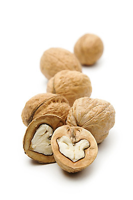 포토 JPG 해외이미지 음식 재료 건강 사람없음 갈색 힘 견과류 껍질 흰색 신선 오픈 그룹 오브젝트 호두 흙더미 내추럴 고립 식용 어려움 해외202004 해외포토 컬러 흙 파일형식 더미 이미지허브