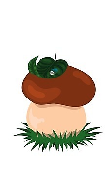EPS 해외이미지 식물 1 음식 잎 일러스트 재료 자연 건강 초록색 갈색 버섯 흰색 맛 떨어짐 숲 이슬 큼 그물버섯 식용 양발 채식주의자 해외202004 해외일러스트 컬러 컨셉 크기 생태계 채식 파일형식 벡터 이미지허브