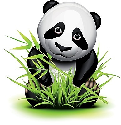 EPS 해외이미지 클립아트 동물 캐릭터 응시 일러스트 곰 동물원 장난감 머리 검은색 중국 터치 흰색 달콤 작음 판다 만화 대나무 부드러움 고립 마스코트 채식주의자 아바타 해외202004 해외일러스트 일러캐릭터 나무 시선 아시아 컬러 포유류 신체부위 감각 맛 크기 채식 파일형식 벡터 이미지허브