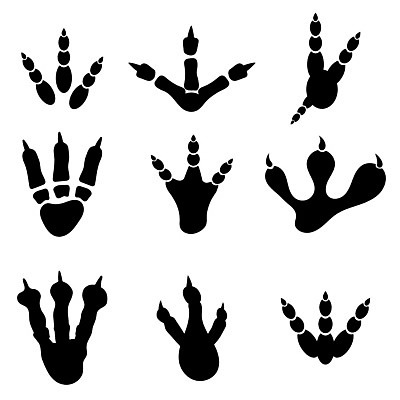 EPS 해외이미지 모양 동물 모델 디자인 실루엣 야생동물 백그라운드 컨셉 일러스트 파충류 생물 그래픽 인쇄 위험 큼 공격 발자국 만화 사인 공룡 육식동물 사냥꾼 선사시대 우표 고립 공격적 몬스터 선로 양발 엘리먼트 집게발 각인 쥬라기 해외202004 해외일러스트 직업 자국 모션 촬영기법 역사 크기 파일형식 벡터 이미지허브