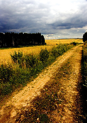 포토 JPG 해외이미지 나무 구름 계절 전통문화 밭 농업 하늘 그림자 옥수수 풍경 사람없음 초록색 여름 파란색 빛 농장 봄 줄무늬 가을 농촌 구멍 연결 작음 땅 심플 조경 일렬 시에나 평야 호밀 수평선 해외202004 해외포토 자연요소 식물 전통 산업 문화 컬러 무늬 자연 곡류 시골 크기 파일형식 이미지허브