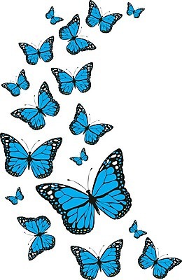 EPS 해외이미지 디자인 계절 종이 나비 곤충 백그라운드 패턴 일러스트 자연 벽지 추상 미술 그래픽 장식 유행 봄 수확 직물 인쇄 그림 질감 복고 포장소품 스타일 해외202004 해외일러스트 동물 무늬 농업 포장 문화예술 오브젝트 생태계 포장재료 파일형식 벡터 이미지허브