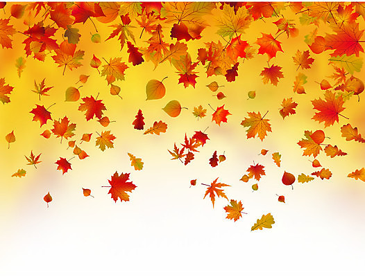 EPS 해외이미지 식물 디자인 계절 분홍색 백그라운드 단풍 잎 패턴 오렌지 일러스트 자연 벽지 추상 미술 야외 장식 가로 빨간색 초록색 빛 햇빛 태양 노란색 환경 봄 성장 가을 신선 황금 숲 9월 묘사 유기농 질감 10월 해외202004 해외일러스트 자연요소 웰빙 컬러 무늬 과일 문화예술 날짜 생태계 파일형식 벡터 이미지허브