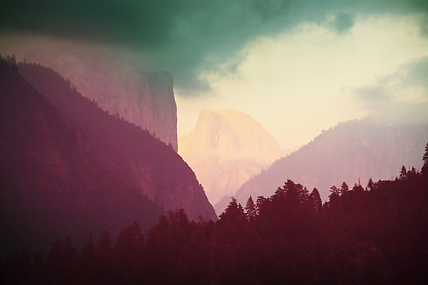 포토 JPG 해외이미지 나무 계절 공원 여행 크리스마스 겨울 자연 산 풍경 사람없음 야외 햇빛 태양 환경 맑음 미국 활발 하이킹 추위 가을 바위 캘리포니아 내추럴 얇은 요세미티국립공원 전국 해외202004 해외포토 자연요소 식물 공공시설 기념일 컨셉 북아메리카 레저 날씨 국립공원 돌_바위 생태계 파일형식 이미지허브