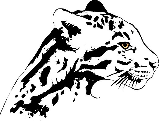 EPS 해외이미지 동물 얼굴 야생동물 일러스트 자연 동물원 머리 검은색 고양이 위험 문신 사파리 사냥꾼 표범 고립 재규어 해외202004 해외일러스트 직업 컬러 컨셉 포유류 신체부위 반려동물 생태계 파일형식 벡터 이미지허브