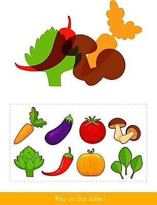 EPS 해외이미지 어린이교육 교육 실루엣 토마토 채소 과일 일러스트 호박 가지 미술 사람없음 버섯 당근 그림 유아교육 학습지 그리너리 해외202004 해외일러스트 문화예술 교재 뿌리채소 촬영기법 파일형식 벡터 트랜드컬러 이미지허브