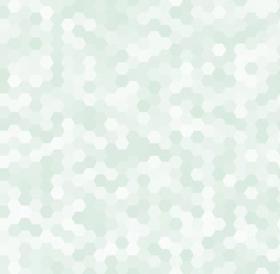 EPS 해외이미지 모양 디자인 백그라운드 패턴 일러스트 추상 경비 초록색 울타리 컴퓨터 금속 검은색 회색 흰색 그물 수비 가장자리 보호 매끈함 연결 질감 보안 모자이크 철사 육각형 방패 망사 나누기 고립 대칭 지원 철강 테크노 해외202004 해외일러스트 도형 컬러 컨셉 무늬 모션 재질 안전 전자제품 담장 직물 수학 감각 둘레 사칙연산 파일형식 벡터 이미지허브