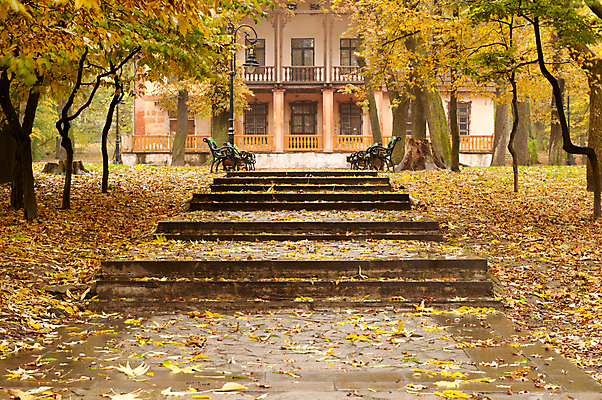 포토 JPG 해외이미지 나무 계절 공원 도로 길 백그라운드 잎 오렌지 자연 아침 거리 풍경 사람없음 야외 건물 빨간색 초록색 갈색 노란색 걷기 계단 정원 침묵 활발 가을 나뭇가지 황금 선택 떨어짐 숲 오솔길 장면 줄서기 전경 해외202004 해외포토 주간 식물 건축물 공공시설 컬러 컨셉 과일 교통시설 모션 소리 생태계 파일형식 탑뷰 이미지허브