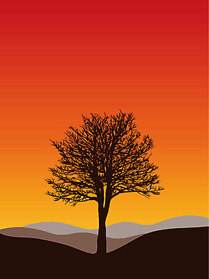 EPS 해외이미지 나무 식물 실루엣 일러스트 사람없음 검은색 일몰 해외202004 해외일러스트 컬러 촬영기법 노을 파일형식 벡터 이미지허브