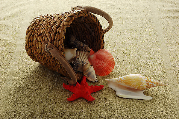 포토 JPG 해외이미지 모양 모래 바다 휴가 불가사리 사람없음 빨간색 수건 바구니 껍질 작음 가득함 많음 해외202004 해외포토 컬러 컨셉 극피동물 위생용품 크기 파일형식 이미지허브