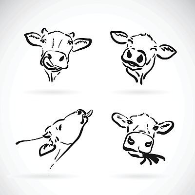 EPS 해외이미지 동물 디자인 응시 실루엣 얼굴 선 음식 백그라운드 농업 일러스트 포유류 자연 뿔 육류 스테이크 미술 미소 사람없음 그래픽 농장 머리 검은색 가축 소고기 우유 수확 흰색 시골 소 농부 만화 스케치 혀 심볼 사인 그림 황소 윤곽 송아지 고립 밭일 해외202004 해외일러스트 직업 시선 산업 새끼 컬러 식재료 문화예술 유제품 서양음식 촬영기법 표정 신체부위 입 생태계 파일형식 벡터 이미지허브