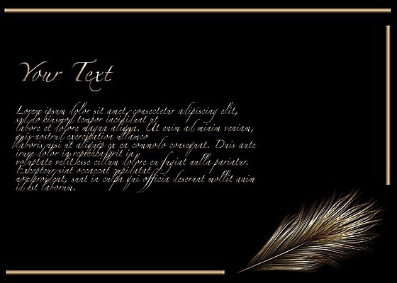 EPS 해외이미지 디자인 일러스트 텍스트 자연 조류 미술 그래픽 장식 빛 반려동물 검은색 활발 황금 우아함 공작 깃털 오브젝트 싱글 그림 꼬리 솜털 고립 멀티 엘리먼트 해외202004 해외일러스트 동물 컬러 컨셉 문화예술 생태계 파일형식 벡터 이미지허브