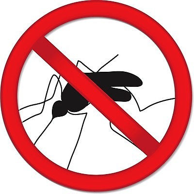 EPS 해외이미지 동물 곤충 백그라운드 일러스트 경고 그래픽 빨간색 약 금지 흰색 열 바이러스 확대 해충 벌레 질병 심볼 사인 생물학 전염 반대 찌르기 토막 고립 그만 모기 전염병 해외202004 해외일러스트 교육 컬러 의학 모션 감염 파일형식 벡터 이미지허브