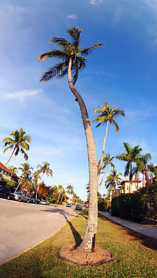포토 JPG 해외이미지 나무 식물 구름 바다 섬 여행 잎 하늘 휴가 휴식 손바닥 풍경 사람없음 초록색 여름 파란색 햇빛 태양 여행객 평화 맑음 꿈 만 하와이 장면 코코넛 남쪽 내추럴 고립 이국적 파라다이스 해외202004 해외포토 자연요소 손 계절 컬러 컨셉 과일 날씨 사람 미국 방향 파일형식 이미지허브