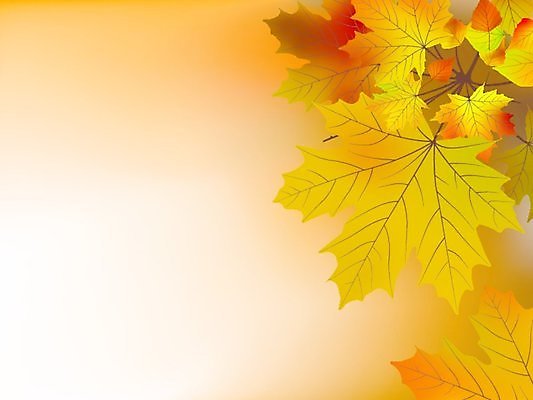 EPS 해외이미지 나무 식물 디자인 계절 공원 백그라운드 단풍 잎 패턴 오렌지 일러스트 자연 하늘 그림자 야외 빨간색 컬러풀 햇빛 태양 갈색 노란색 가을 나뭇가지 변화 황금 숲 11월 질감 러시아 장면 진홍색 빛망울 10월 내추럴 엘리먼트 해외202004 해외일러스트 자연요소 공공시설 유럽 컬러 컨셉 무늬 과일 빛 날짜 생태계 파일형식 벡터 이미지허브