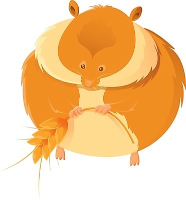 EPS 해외이미지 동물 디자인 행복 얼굴 야생동물 일러스트 포유류 자연 털 동물원 미술 미소 반려동물 갈색 기쁨 흰색 돼지 치아 쥐 설치류 작음 만화 모피 시리얼 밀 그림 솜털 고립 마스코트 해외202004 해외일러스트 감정 음식 컬러 문화예술 곡류 표정 신체부위 소화기관 크기 생태계 파일형식 벡터 이미지허브