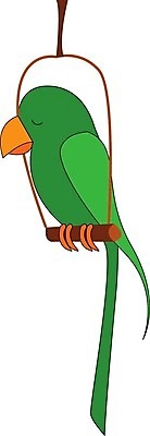 EPS 해외이미지 식물 동물 야생동물 꽃무늬 날개 일러스트 장난 아프리카 자연 조류 열대 동물원 대화 초록색 반려동물 흰색 나뭇가지 호주 서커스 만화 인도인 깃털 부리 앵무새 동물상 보호구역 아마존 이국적 하와이인 브라질사람 해외202004 해외일러스트 외국인 나무 꽃 나라 컬러 무늬 말하기 동양인 조형물 오세아니아 생태계 구역 파일형식 벡터 이미지허브