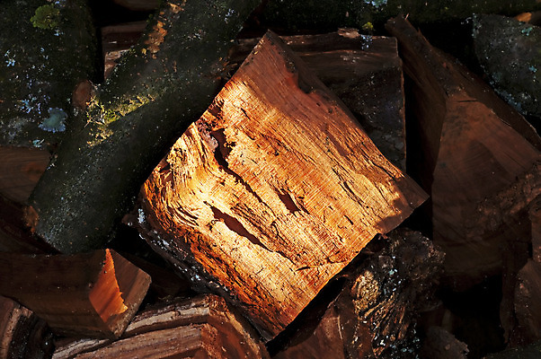 포토 JPG 해외이미지 나무 전통 조각 자연 사람없음 목재 태양 쌓기 환경 맑음 재활용 에너지 시골 반지 소나무 점 원형 닫기 주식 낟알 장작 자르기 묘사 통나무 부드러움 연료 자원 다리찢기 내추럴 수목 화상 해외202004 해외포토 자연요소 도형 식물 재료 장신구 모션 날씨 금융 감각 상처 친환경 생태계 파일형식 이미지허브