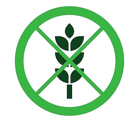 EPS 해외이미지 일러스트 사람없음 초록색 금지 밀 해외202004 글루텐프리 글루틴 해외일러스트 컬러 곡류 파일형식 벡터 이미지허브