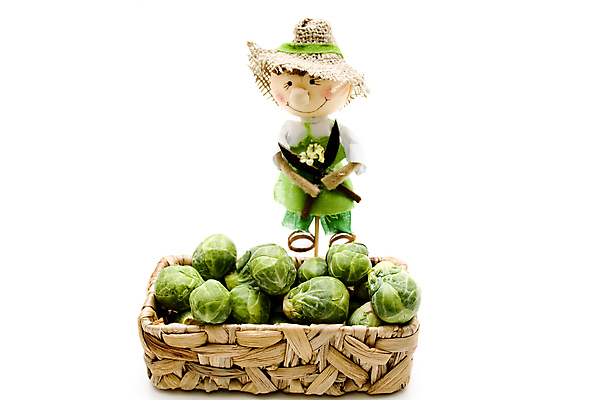 포토 JPG 해외이미지 음식 잎 채소 건강 사람없음 초록색 바구니 수확 신선 먹기 흰배경 양배추 날것 해외202004 해외포토 식물 컬러 백그라운드 농업 모션 흰색 파일형식 이미지허브