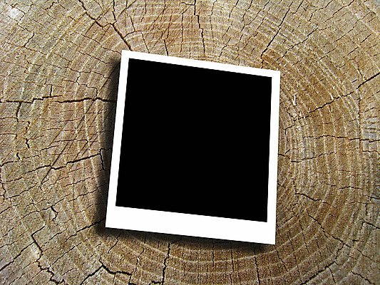 포토 JPG 해외이미지 나무 종이 백그라운드 패턴 자연 추상 사람없음 목재 노란색 흰색 직물 점 신용카드 균열 숲 자르기 목수 그림 질감 합성 매듭 다리찢기 엘리먼트 톱밥 해외202004 해외포토 식물 직업 컬러 무늬 재료 모션 금융 가루 생태계 파일형식 이미지허브