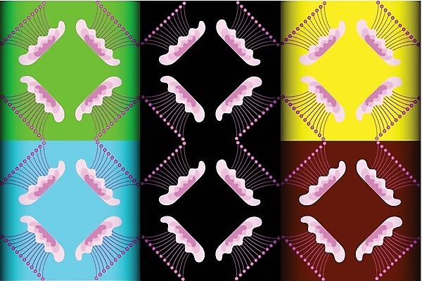 EPS 해외이미지 모양 디자인 꽃 분홍색 백그라운드 패턴 일러스트 벽지 추상 그래픽 장식 컬러풀 직물 해외202004 해외일러스트 식물 컬러 무늬 파일형식 벡터 이미지허브