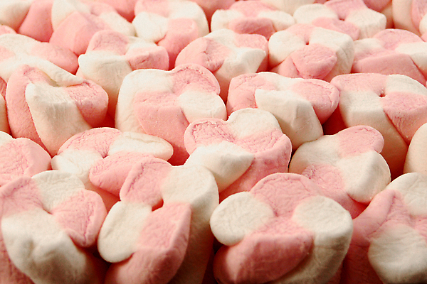 포토 JPG 해외이미지 분홍색 사탕 사람없음 과자 흰색 대접 달콤 마시멜로우 해외202004 해외포토 컬러 디저트 맛 파일형식 이미지허브