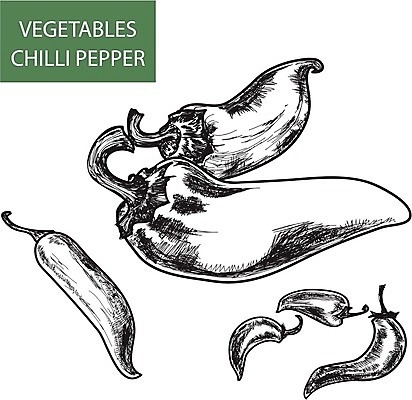 EPS 해외이미지 디자인 음식 채소 일러스트 재료 고추 멕시코 파프리카 요리 빨간색 초록색 세트 노란색 라벨 주방 식당 추위 신선 뜨거움 양념 달콤 맛 수집 먹기 심볼 향신료 사인 흰배경 매움 후추 흙더미 고립 숙성 채식주의자 할라피뇨 해외202004 해외일러스트 컬러 백그라운드 컨셉 북아메리카 모션 프레임 상점 흙 흰색 채식 향미료 파일형식 벡터 더미 이미지허브