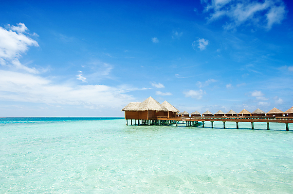 포토 JPG 해외이미지 바다 섬 여행 건축양식 호텔 휴가 휴식 주택 사람없음 물 여름 파란색 항구 침묵 고독 오두막 빌라 휴양지 하와이 장면 태평양 방갈로 석호 몰디브 똑같은 무한 이국적 줄서기 터키석 파라다이스 해외202004 해외포토 자연요소 계절 건축 감정 아시아 컬러 컨셉 교통시설 모션 숙소 건물 미국 소리 장소 보석 파일형식 이미지허브