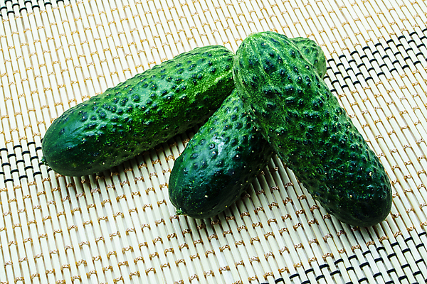 포토 JPG 해외이미지 식물 음식 백그라운드 채소 재료 자연 오이 건강 마늘 요리 사람없음 초록색 수확 시골 신선 허브 향신료 유기농 날것 피클 숙성 오이피클 절임 채식주의자 핸드메이드 해외202004 해외포토 웰빙 컬러 농업 생태계 채식 향미료 파일형식 이미지허브