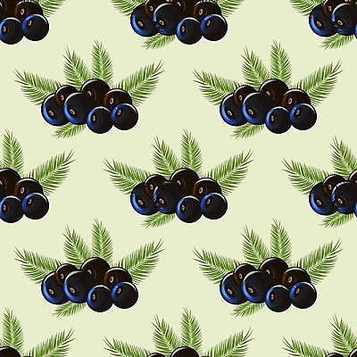 EPS 해외이미지 식물 라이프스타일 열매 음식 백그라운드 잎 패턴 농업 다이어트 과일 일러스트 재료 자연 건강 손바닥 보라색 검은색 에너지 흰색 나뭇가지 신선 플랫 스케치 먹기 허브 그림 에코 유기농 날것 브라질 내추럴 고립 숙성 이국적 채식주의자 슈퍼푸드 브라질사람 비건 해외202004 해외일러스트 나무 손 웰빙 산업 컬러 무늬 모션 미술 생활 환경 남아메리카 생태계 채식 건강식품 파일형식 벡터 이미지허브