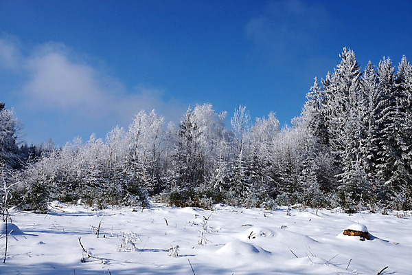 포토 JPG 해외이미지 주간 나무 겨울 자연 하늘 독일 사람없음 야외 바이에른 겨울풍경 해외202004 눈덮임 해외포토 자연요소 식물 계절 유럽 컨셉 풍경 생태계 파일형식 이미지허브