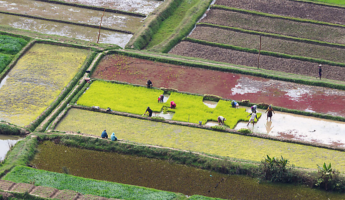 포토 JPG 해외이미지 모래 밭 농업 아프리카 건조 성인 사람없음 갈색 작업 싱글 날카로움 마다가스카르 쟁기 해외202004 해외포토 나라 산업 컬러 사람 파일형식 이미지허브