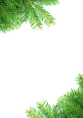 포토 JPG 해외이미지 모양 나무 식물 계절 백그라운드 잎 크리스마스 겨울 자연 휴가 새로움 새해 프레임 미술 사람없음 장식 초록색 축제 흰색 나뭇가지 축하 소나무 화려 가장자리 숲 연도 정사각형 뼈대 상록수 침엽수 전나무 내추럴 고립 구성 가문비나무 해외202004 해외포토 도형 기념일 컬러 컨셉 문화예술 둘레 생태계 파일형식 이미지허브