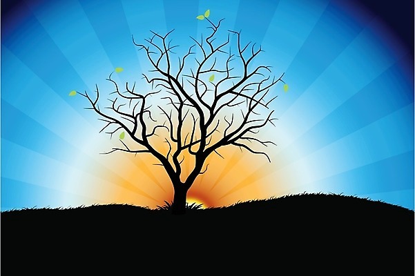 EPS 해외이미지 백그라운드 일러스트 자연 하늘 날씨 풍경 사람없음 야외 여름 파란색 태양 환경 침묵 활발 땅 장면 방법 평야 수평선 해외202004 해외일러스트 자연요소 계절 컬러 컨셉 소리 생태계 파일형식 벡터 이미지허브