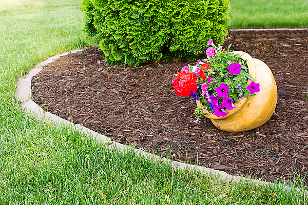 포토 JPG 해외이미지 나무 식물 계절 꽃 백그라운드 자연 잔디 사람없음 야외 장식 빨간색 초록색 컬러풀 정원 보라색 봄 성장 원형 개화 냄비 자주색 원예 조경 화단 상록수 뒤뜰 정중 해외202004 해외포토 도형 컬러 컨셉 취미 솥 생태계 파일형식 이미지허브