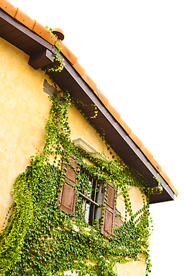 포토 JPG 해외이미지 구름 전통 외관 백그라운드 건축양식 창문 하늘 지붕 주택 사람없음 빨간색 파란색 컬러풀 수확 시골 도시 오두막 빌라 타일 시골집 질감 복고 방갈로 구식 샬레 옛날 이스라엘 스타일 해외202004 해외포토 자연요소 건축 컬러 농업 숙소 실험기구 건물 서아시아 파일형식 이미지허브