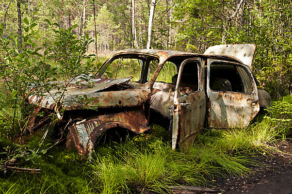 포토 JPG 해외이미지 나무 교통수단 자동차 자연 버스 스웨덴 사람없음 금속 어둠 시골 바퀴 황무지 작업실 폐기물 숲 부식 타이어 한조각 헛간 모터 고물상 그런지 변소 차고 해외202004 해외포토 식물 1 육상교통 교통 재질 대중교통 북유럽 쓰레기 생태계 저장고 파일형식 이미지허브
