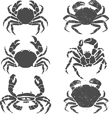 EPS 해외이미지 동물 디자인 배너 실루엣 야생동물 음식 바다 백그라운드 스티커 일러스트 자연 조개 항해 갑각류 요리 그래픽 세트 꼬리표 라벨 요식업 검은색 식사 수확 달력 게 신선 시장 재산 만화 심볼 해산물 사인 메뉴 그림 복고 암 우표 고립 엘리먼트 집게발 프리미엄 해외202004 해외일러스트 산업 컬러 농업 배_교통 어패류 프레임 촬영기법 금융 질병 생태계 파일형식 벡터 이미지허브