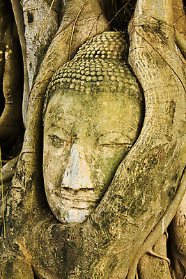 포토 JPG 해외이미지 나무 공원 종교 불교 건축양식 태국 사랑 사람없음 목재 머리 평화 믿음 기도 사찰 역사 명상 신성 동쪽 귀족 신앙심 전국 스타일 해외202004 해외포토 식물 공공시설 건축 감정 아시아 컨셉 재료 종교건축 신체부위 방향 파일형식 이미지허브