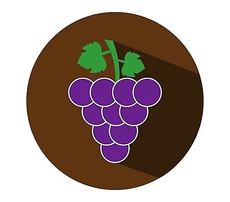 EPS 해외이미지 식물 디자인 열매 선 음식 잎 농업 과일 일러스트 포도 디저트 그래픽 와인 플랫 달콤 먹기 심볼 사인 유기농 심플 윤곽 포도나무 내추럴 고립 숙성 양조장 채식주의자 타격 미니멀 해외202004 해외일러스트 웰빙 산업 모션 주류 맛 과일나무 채식 파일형식 벡터 이미지허브