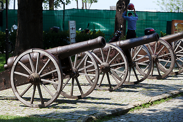 포토 JPG 해외이미지 여행 사람없음 총 도시 심볼 묘사 오브젝트 군용 육군 방문 대포 칠면조 해외202004 해외포토 무기 조류 군대 파일형식 이미지허브