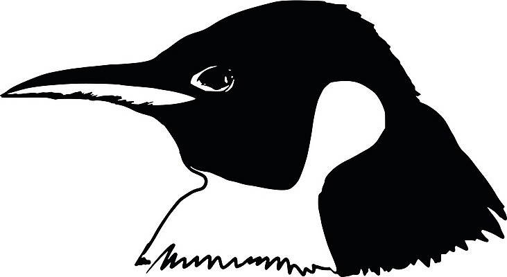 EPS 해외이미지 동물 응시 야생동물 바다 날개 일러스트 자연 조류 잉크 동물원 머리 검은색 추위 흰색 시원함 스케치 남극 북극 스마트 깃털 만족 펭귄 부리 손그림 남쪽 고립 핸드메이드 해외202004 해외일러스트 시선 감정 컬러 컨셉 미술 신체부위 극지방 방향 생태계 파일형식 벡터 이미지허브