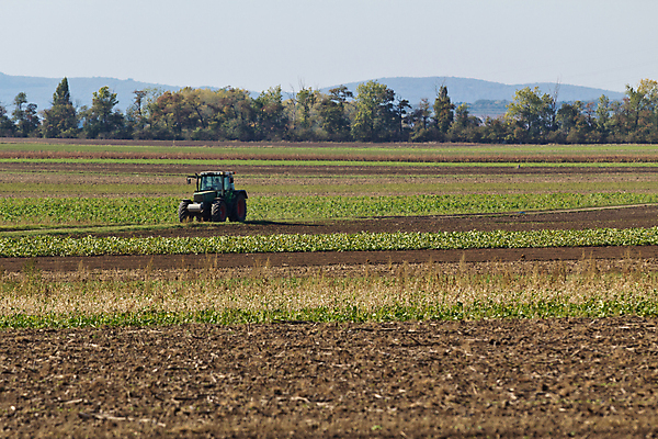 포토 JPG 해외이미지 나무 산업 지구 밭 농업 비즈니스 자연 하늘 기술 굴뚝 풍경 사람없음 초록색 경제 파란색 농장 갈색 환경 기계 흙 과학기술 수확 시골 업무 농부 땅 무역 트랙터 공학 땅바닥 밭일 생태학 심기 해외202004 해외포토 식물 직업 교육 컬러 모션 바닥 작업 농기계 생태계 특수차량 파일형식 이미지허브